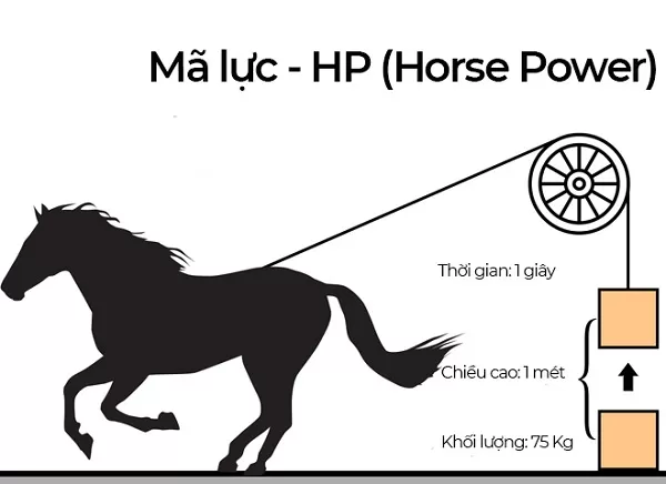 NĂM NGỰA NÓI VỀ ĐƠN VỊ MÃ LỰC