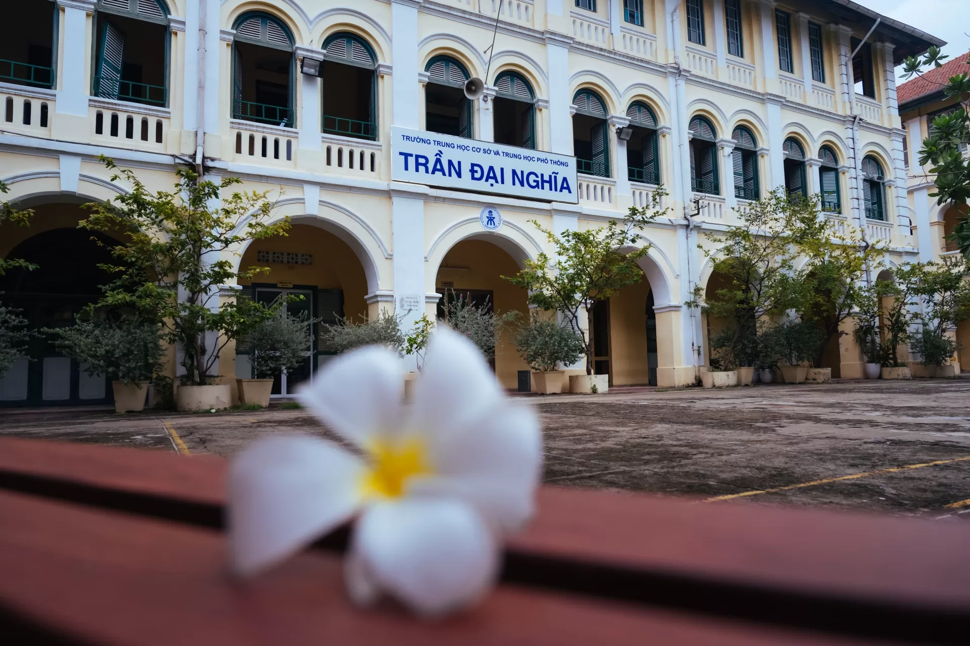 Thông báo về kỳ khảo sát chọn Đội tuyển Học sinh giỏi Khối 10 môn tiếng Anh, năm học 2025 – 2026