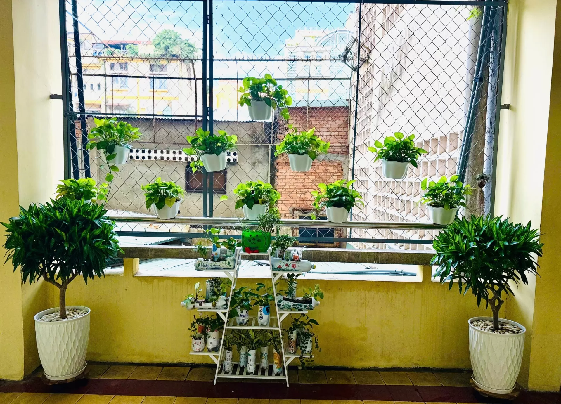 LAN TỎA PHONG TRÀO “GIEO MẦM XANH” TẠI TRƯỜNG THCS & THPT TRẦN ĐẠI NGHĨA