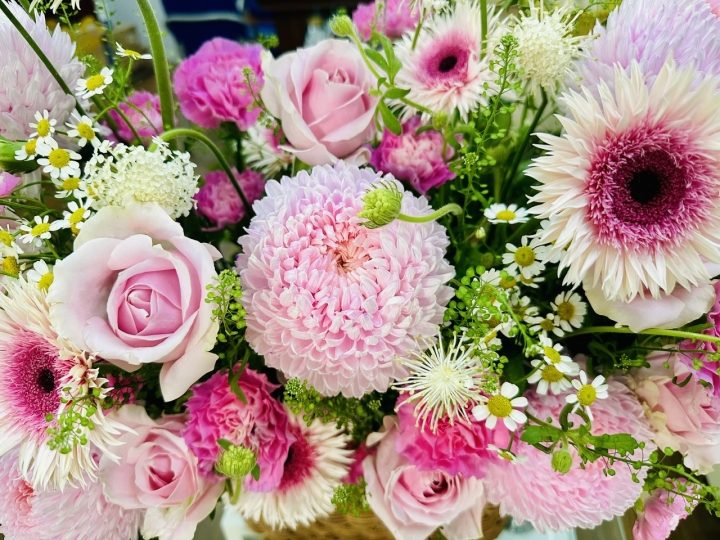 HỘI NGHỊ VIÊN CHỨC, NGƯỜI LAO ĐỘNG NĂM HỌC 2025-2026